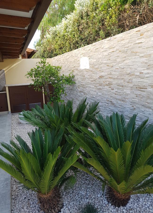 B&B Aloe Comfort Rooms 圣维托罗卡波 外观 照片