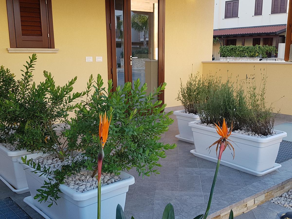 B&B Aloe Comfort Rooms 圣维托罗卡波 外观 照片