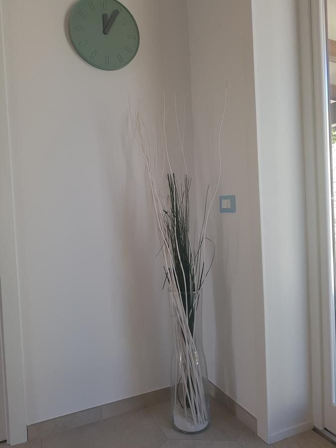 B&B Aloe Comfort Rooms 圣维托罗卡波 外观 照片